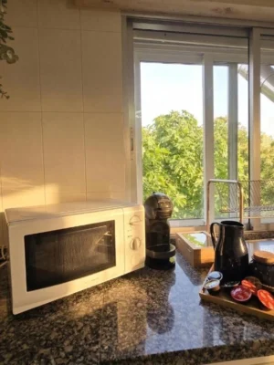 cafetera-microondas-vistas-cocina-casa-buen-camino-arzua Microondas y cafetera con vistas al jardín en la cocina de Casa Buen Camino Arzúa