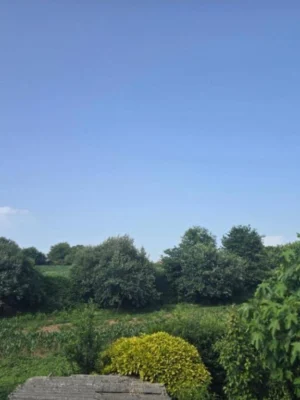 vistas-naturaleza-galicia-casa-buen-camino-arzua Vistas panorámicas al campo gallego desde Casa Buen Camino Arzúa