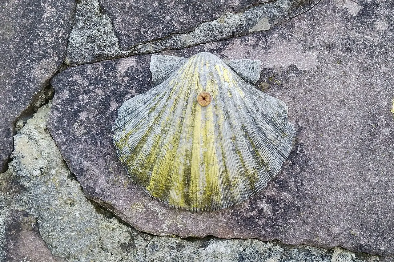 Santiago de Compostela, Cammino Francese