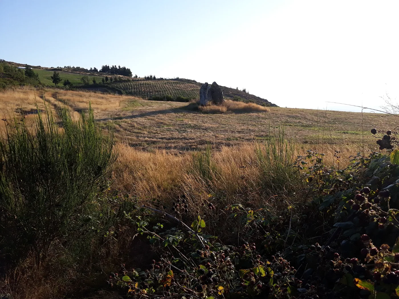 Dolmen di Montouto, vicino a A Fonsagrada