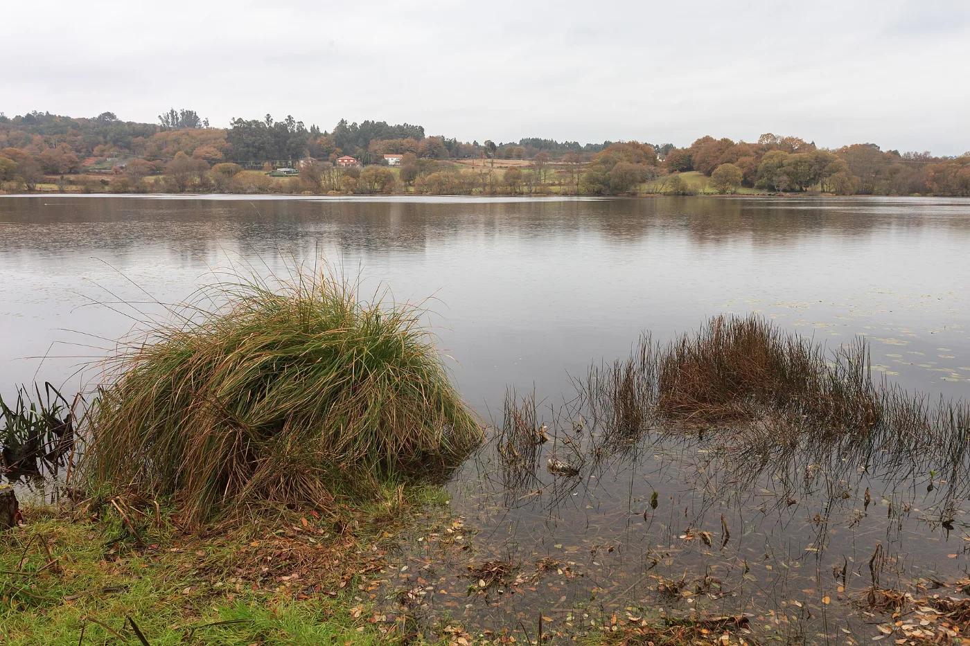 Laguna de Sobrado dos Monxes